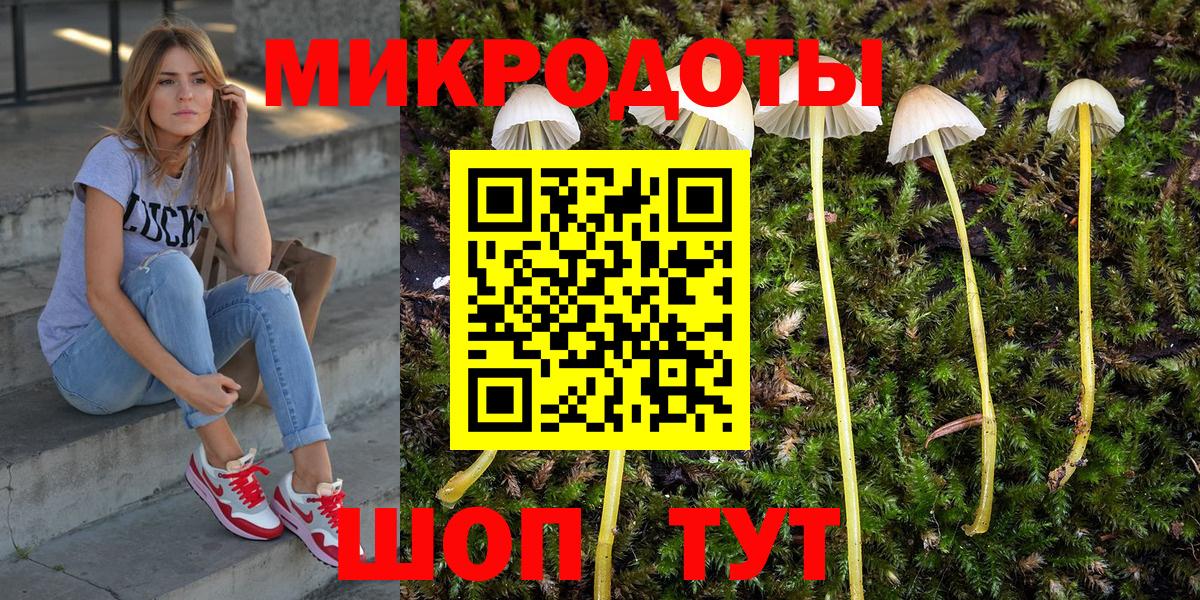 Великий Новгород  Псилоцибиновые грибы Psilocybe  Вход с VPN  Галлюциногенные грибы MAGIC MUSHROOMS 