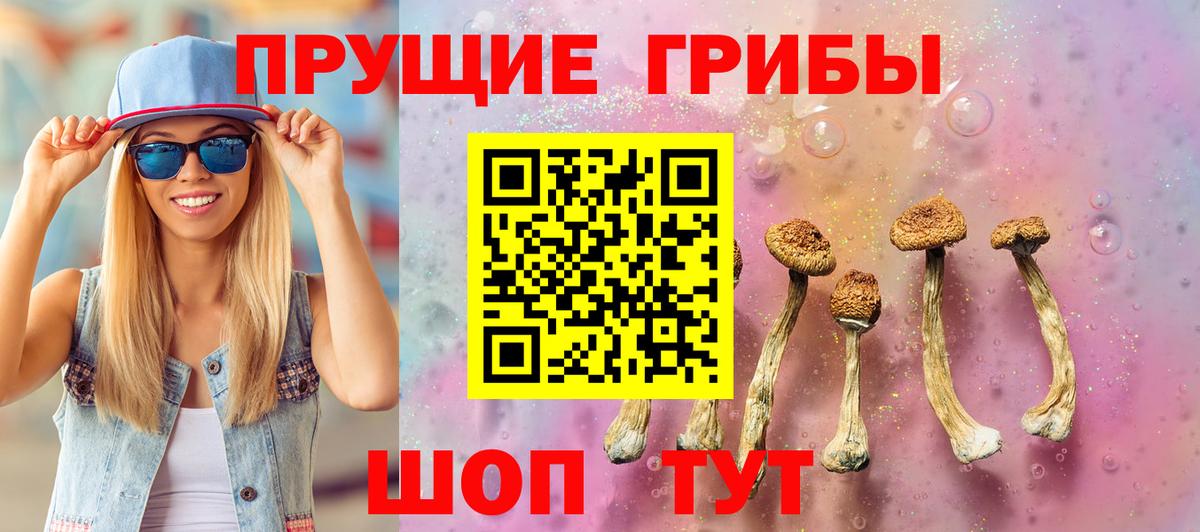 Псилоцибиновые грибы GOLDEN TEACHER Великий Новгород