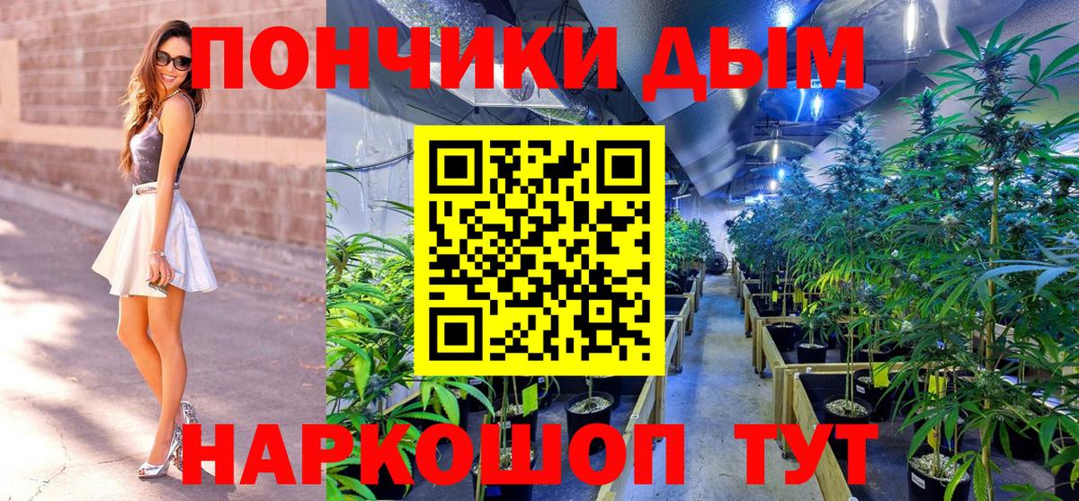 МАРИХУАНА ГИДРОПОН Великий Новгород